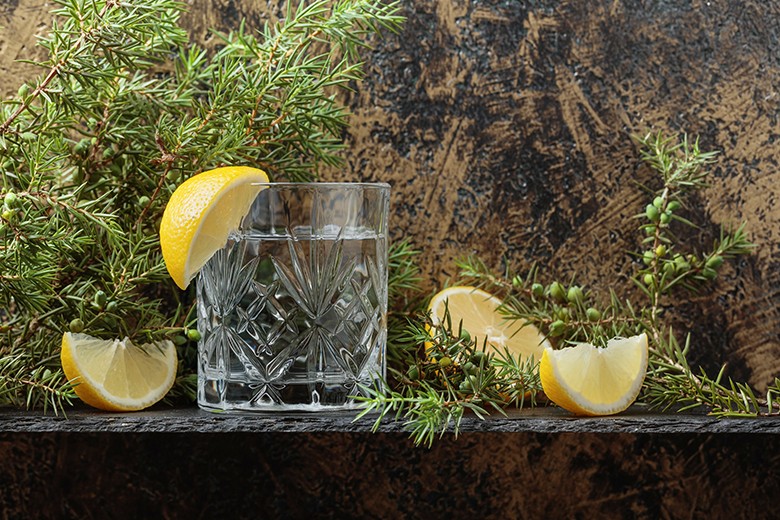 Wissenswertes über Gin