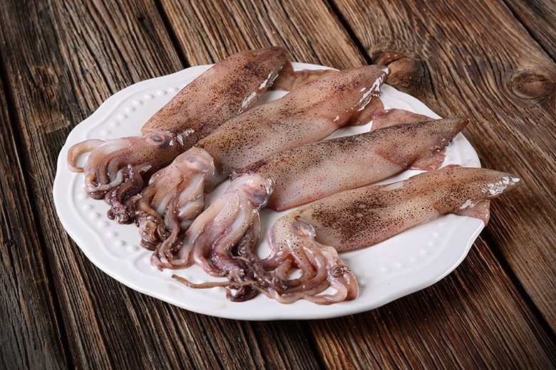 Tintenfisch