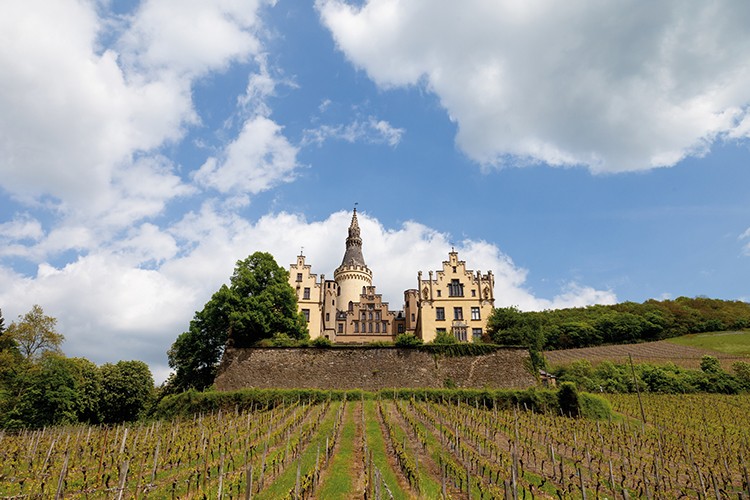 Weinregion Mittelrhein