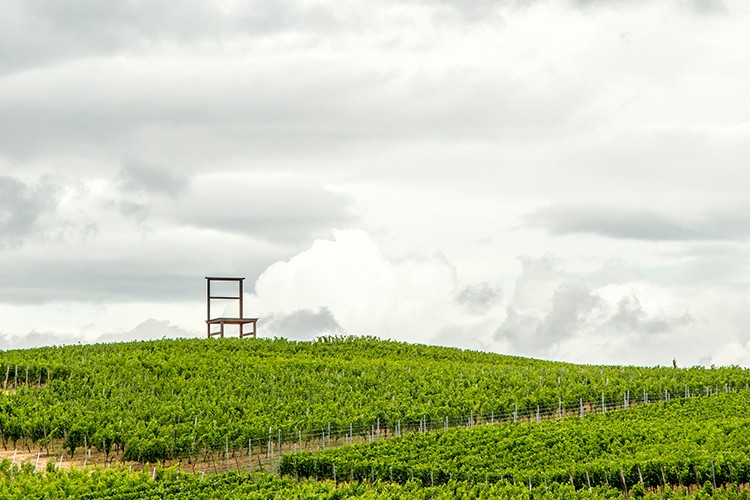 Weinregion Württemberg
