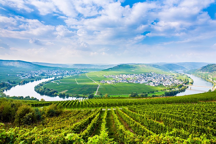 Weinregion Mosel