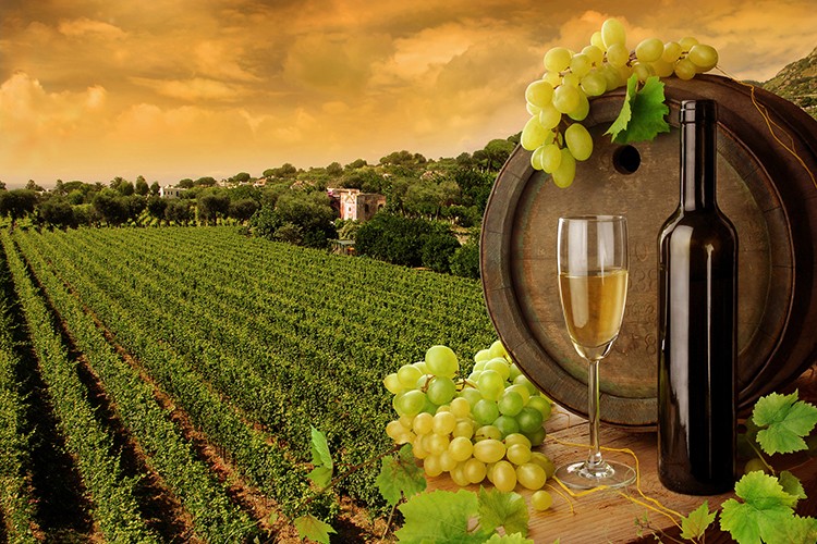 Weinland Italien - italienische Weine