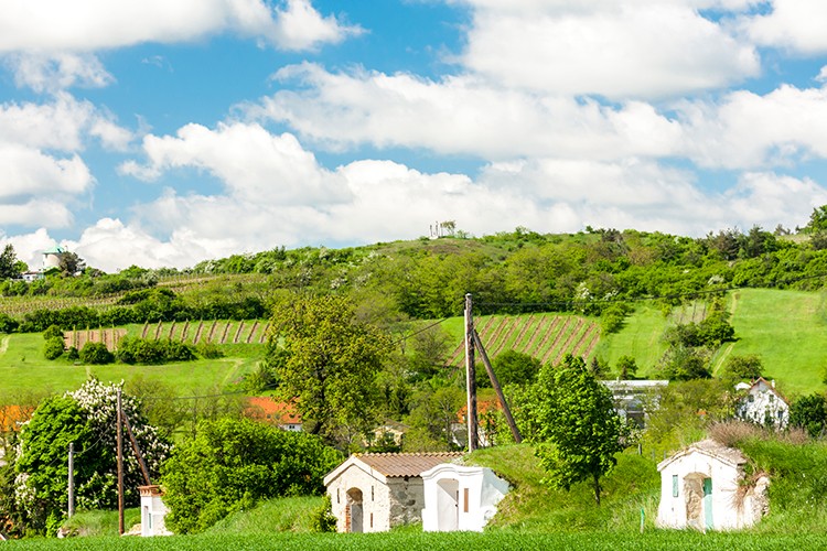 Weinland Österreich - österreichische Weine