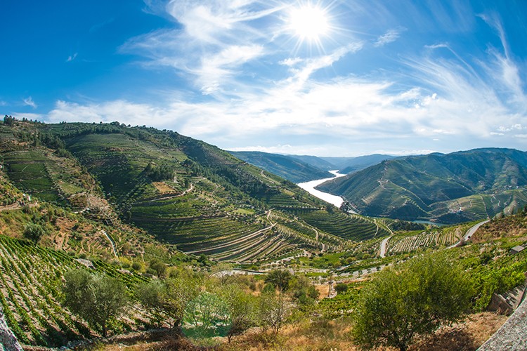 Weinland Portugal - portugisische Weine