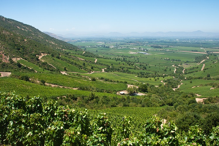Weinland Chile - chilenische Weine
