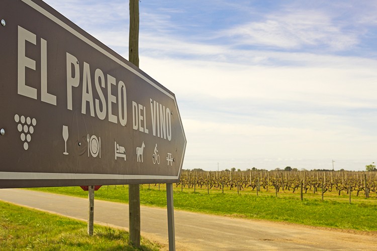 Weinland Uruguay - Wein aus Uruguay
