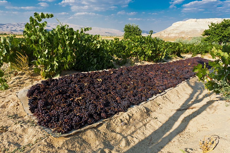 Weinland Türkei - türkischer Wein