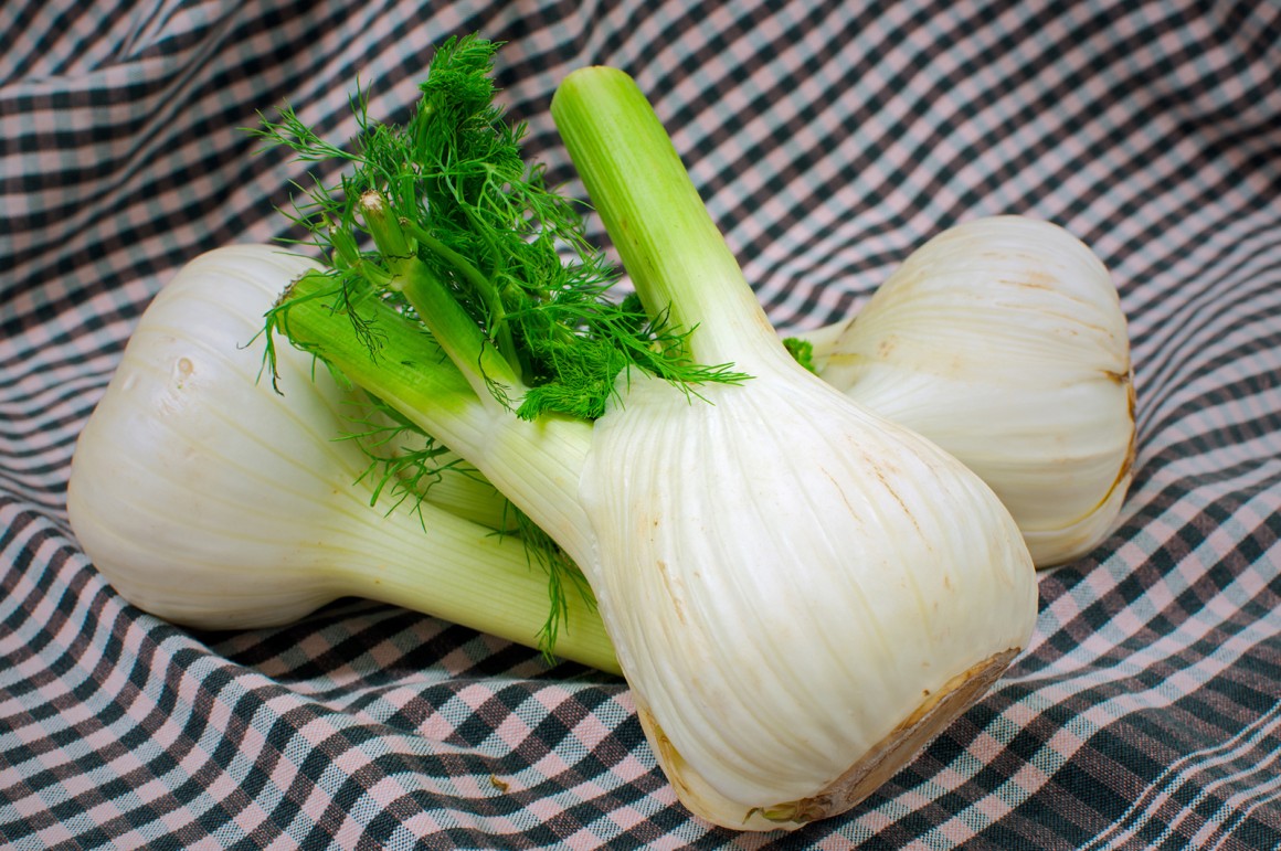 Fenchel