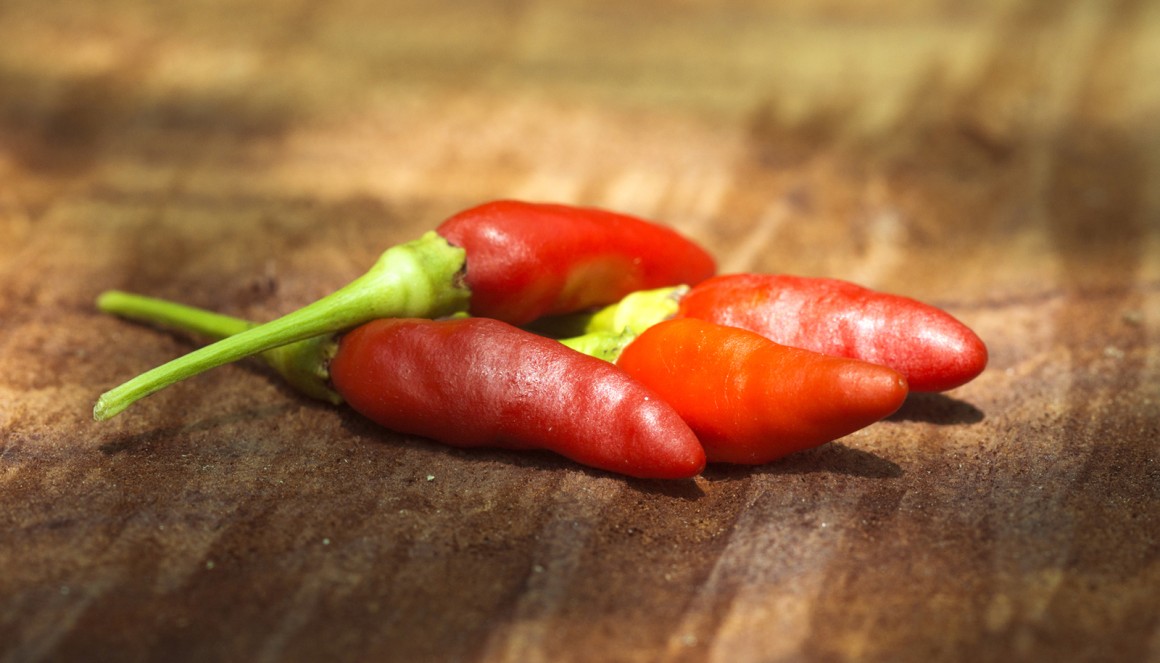 Chilischoten