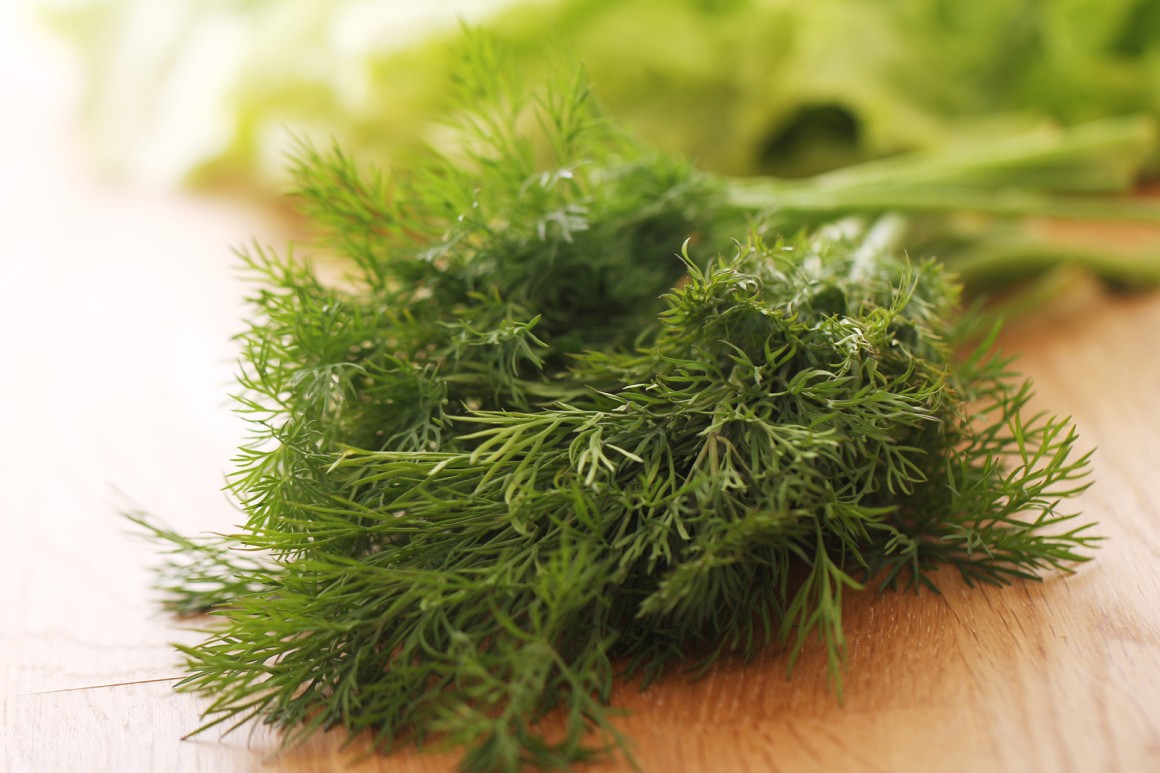 Dill