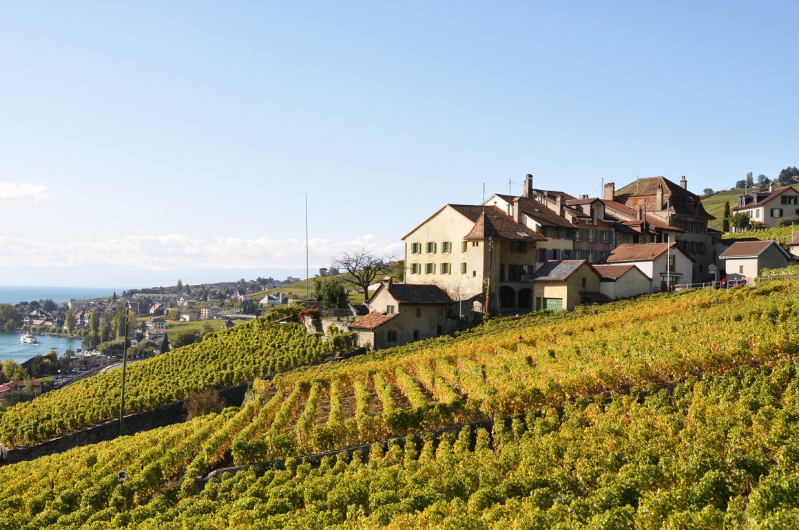 Weinland Schweiz - schweizer Wein