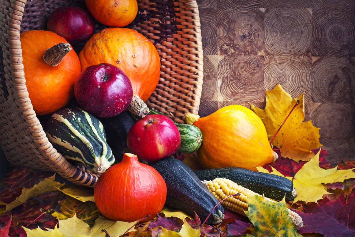 Köstliche Schmankerl im Herbst