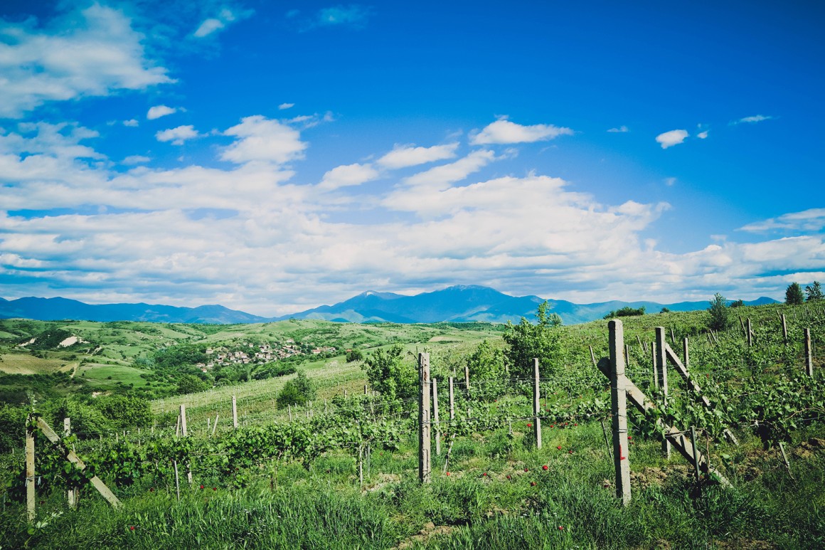 Weinland Bulgarien - bulgarische Weine