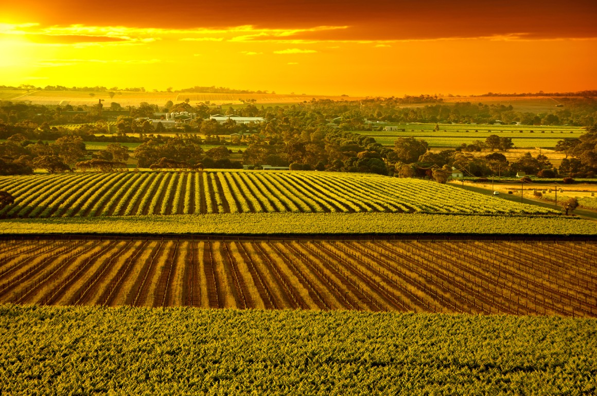Weinland Australien - australische Weine