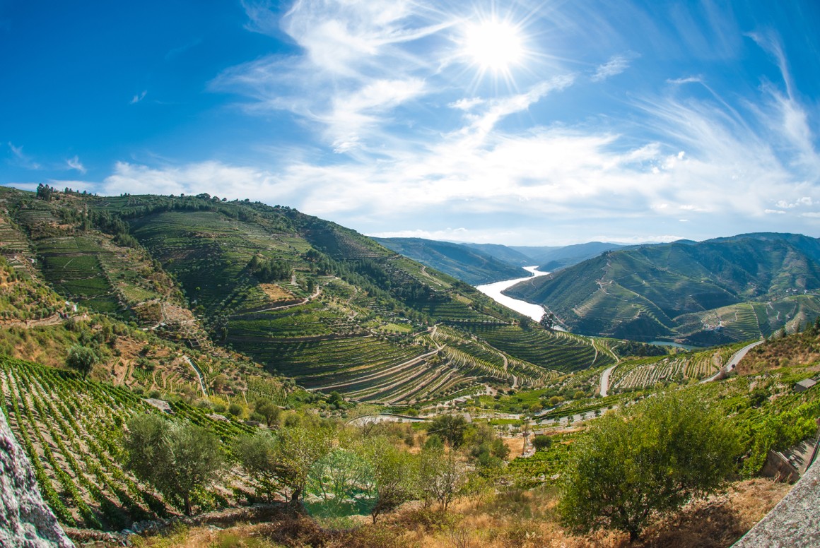 Weinland Portugal - portugisische Weine