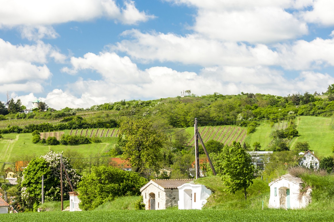 Weinland Österreich - österreichische Weine