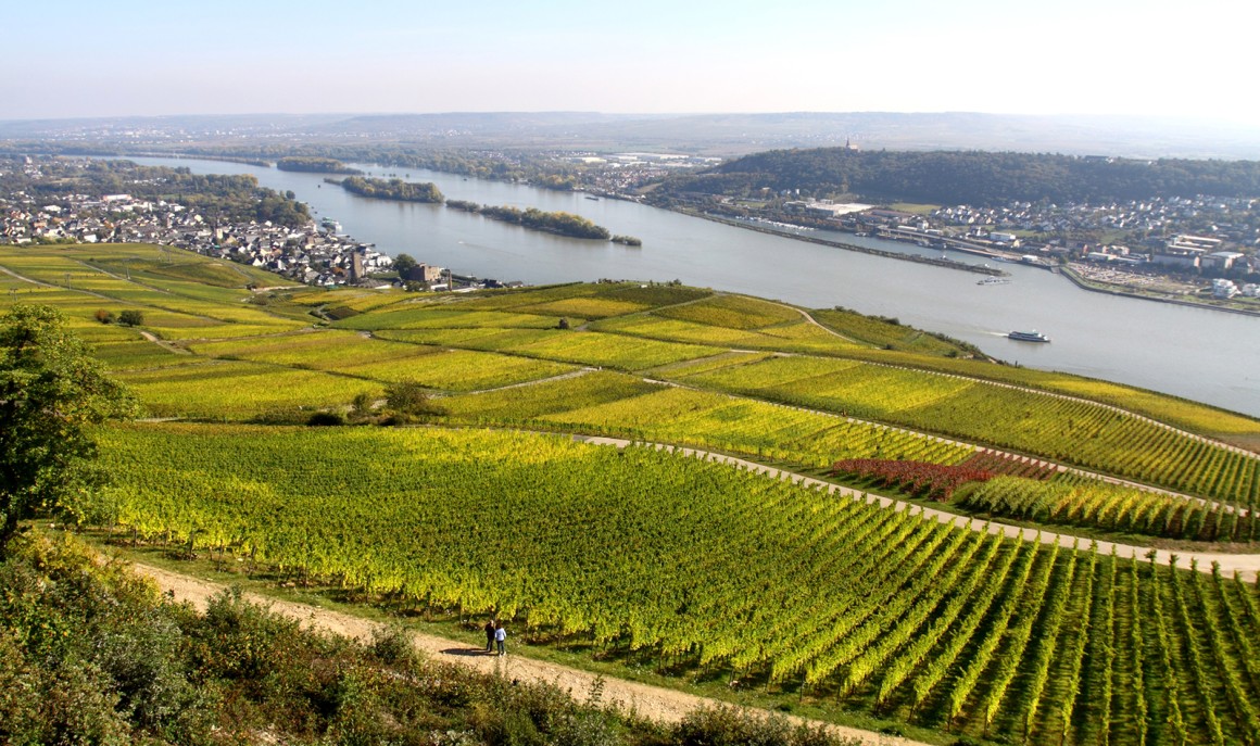 Weinregion Rheingau