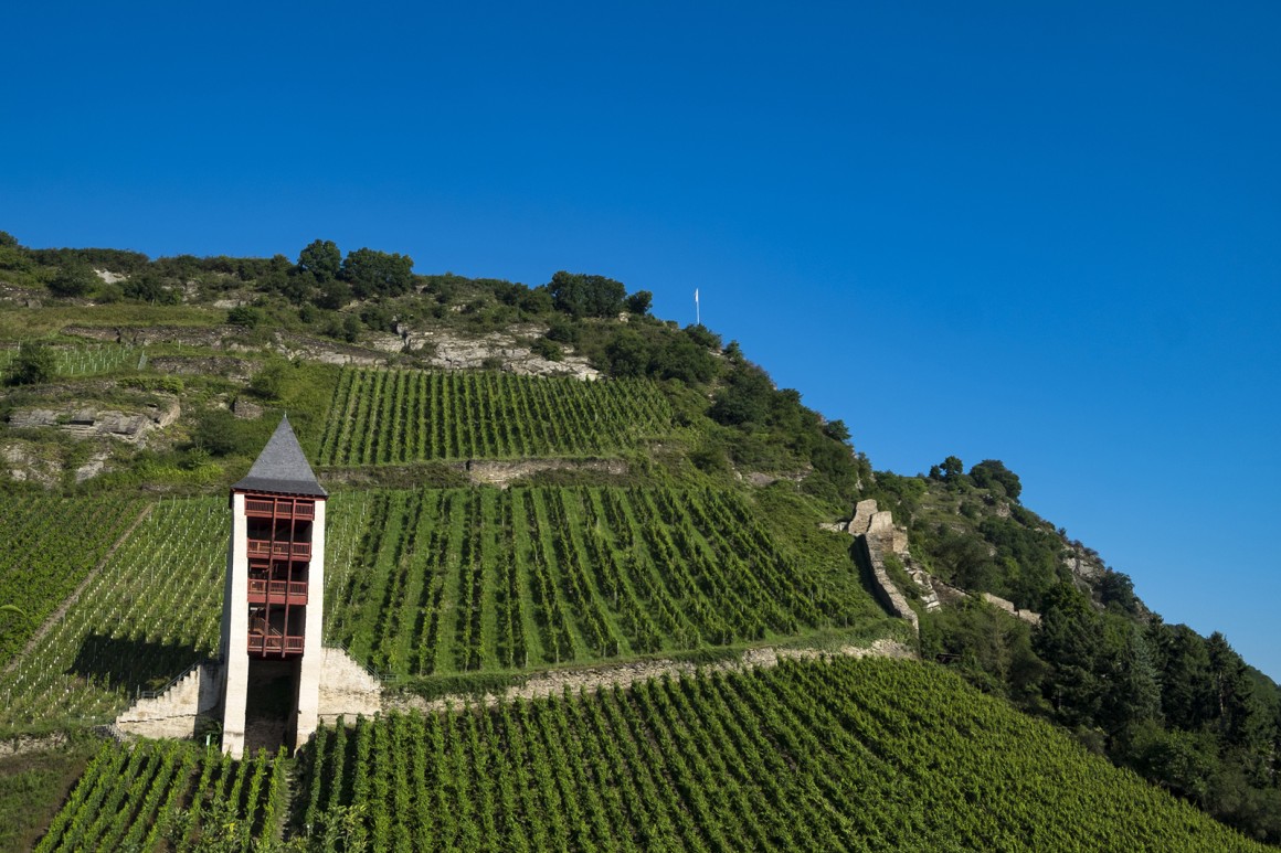 Weinregion Pfalz