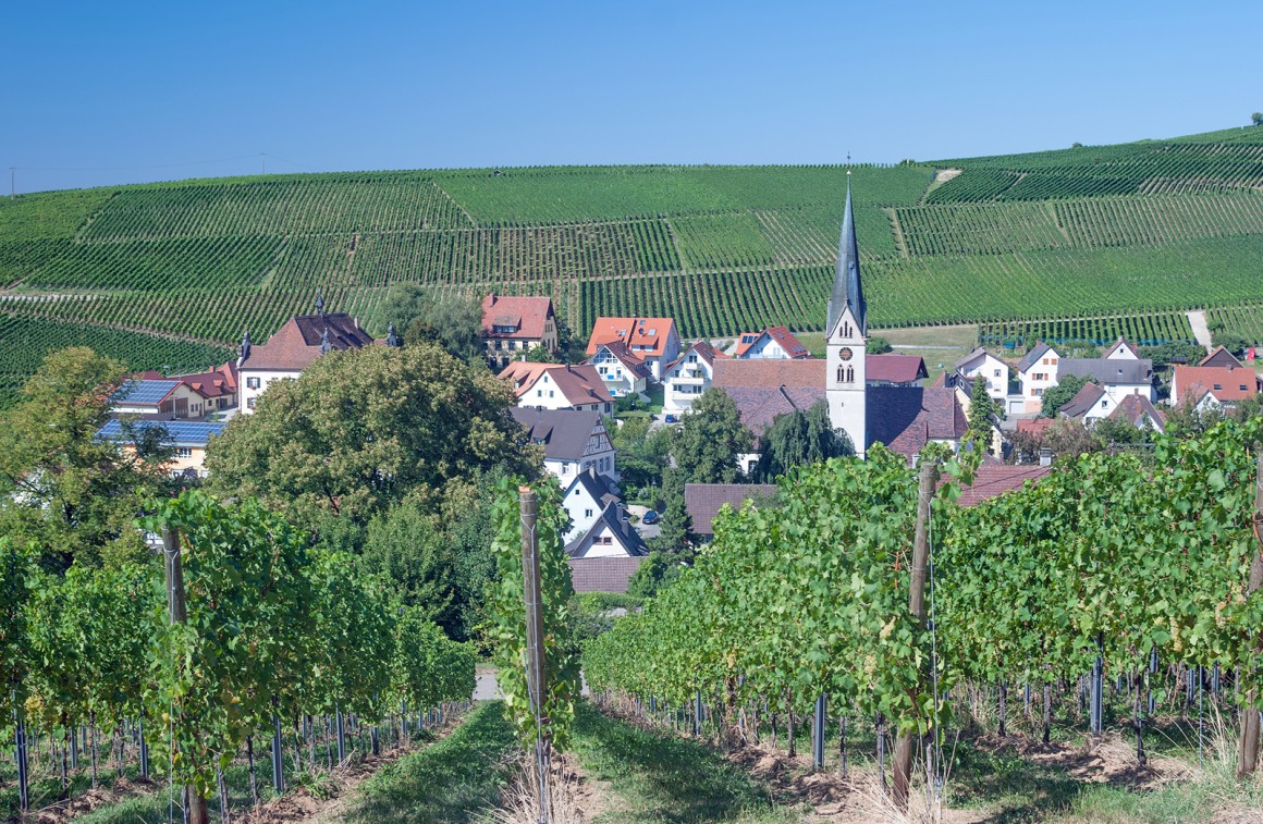 Weinregion Baden