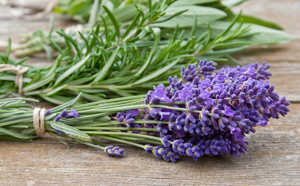 Kräuter, Honig und Heublumen