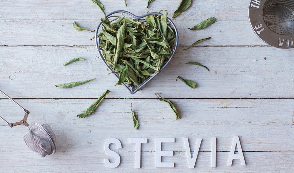 Stevia, das gesunde Süßkraut