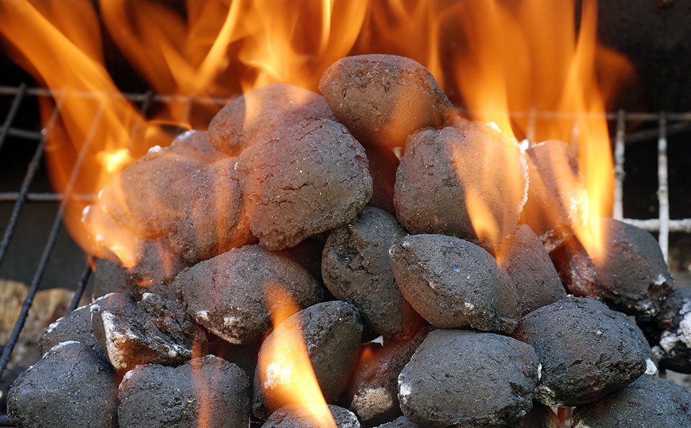 Brennstoffe zum Grillen