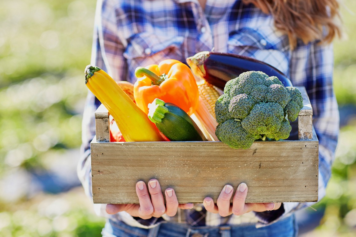 Vollwert-Ernährung: Ursprung, Konzept, Anleitung und Wissenswertes