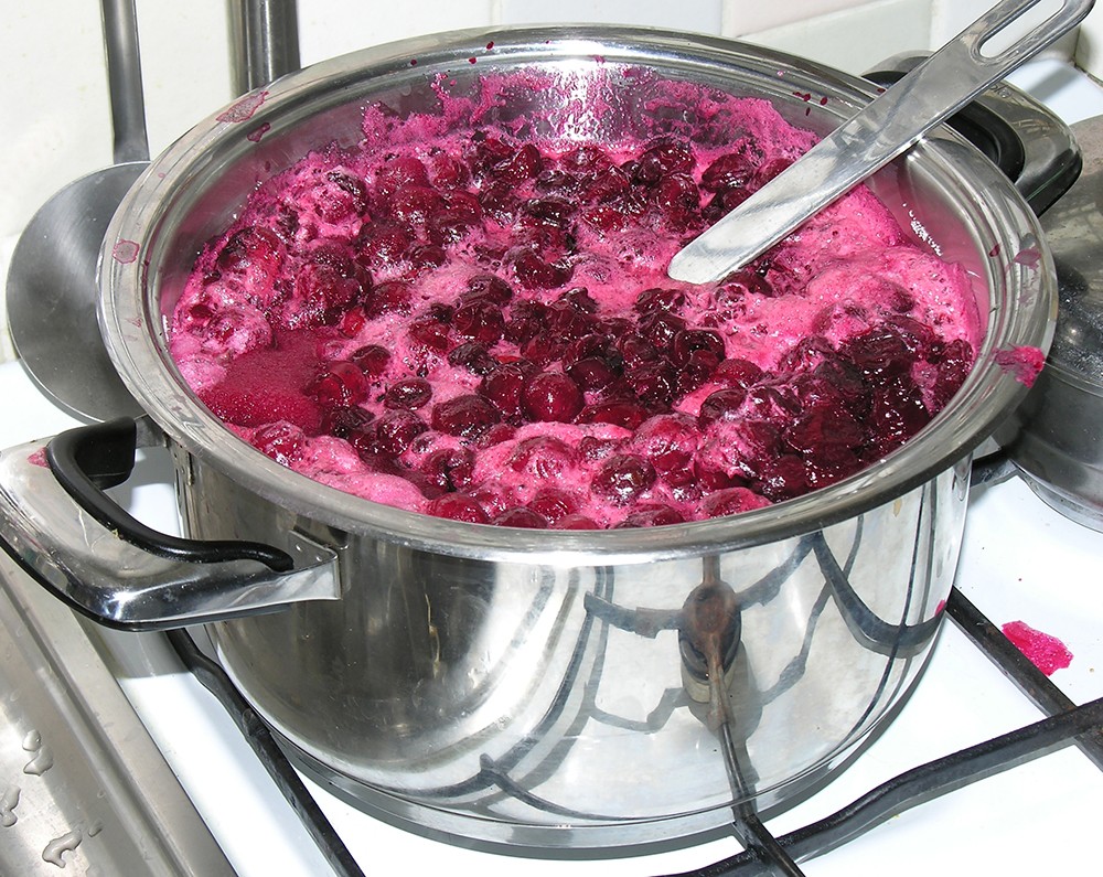 Leckere und gesunde Säfte selbst gemacht
