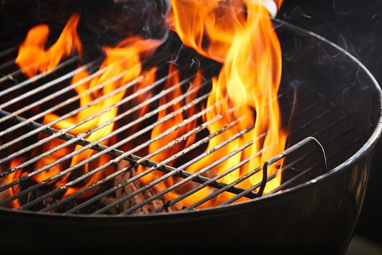 Brennstoffe zum Grillen