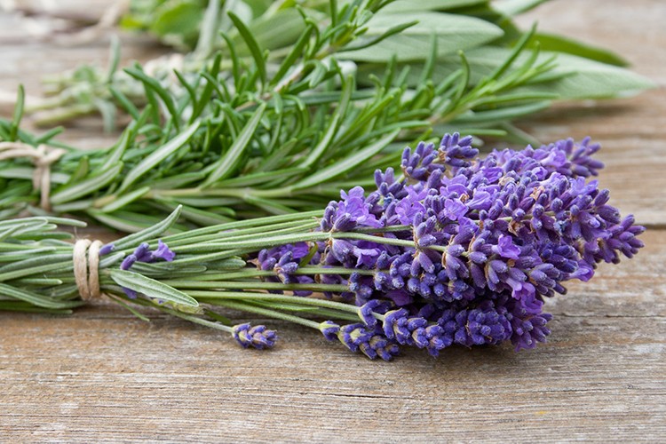 Kräuter, Honig und Heublumen