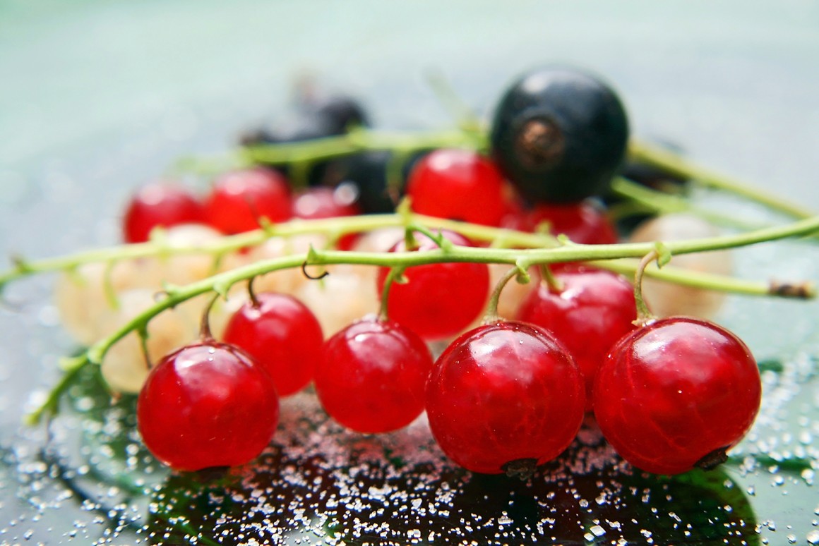 Johannisbeeren