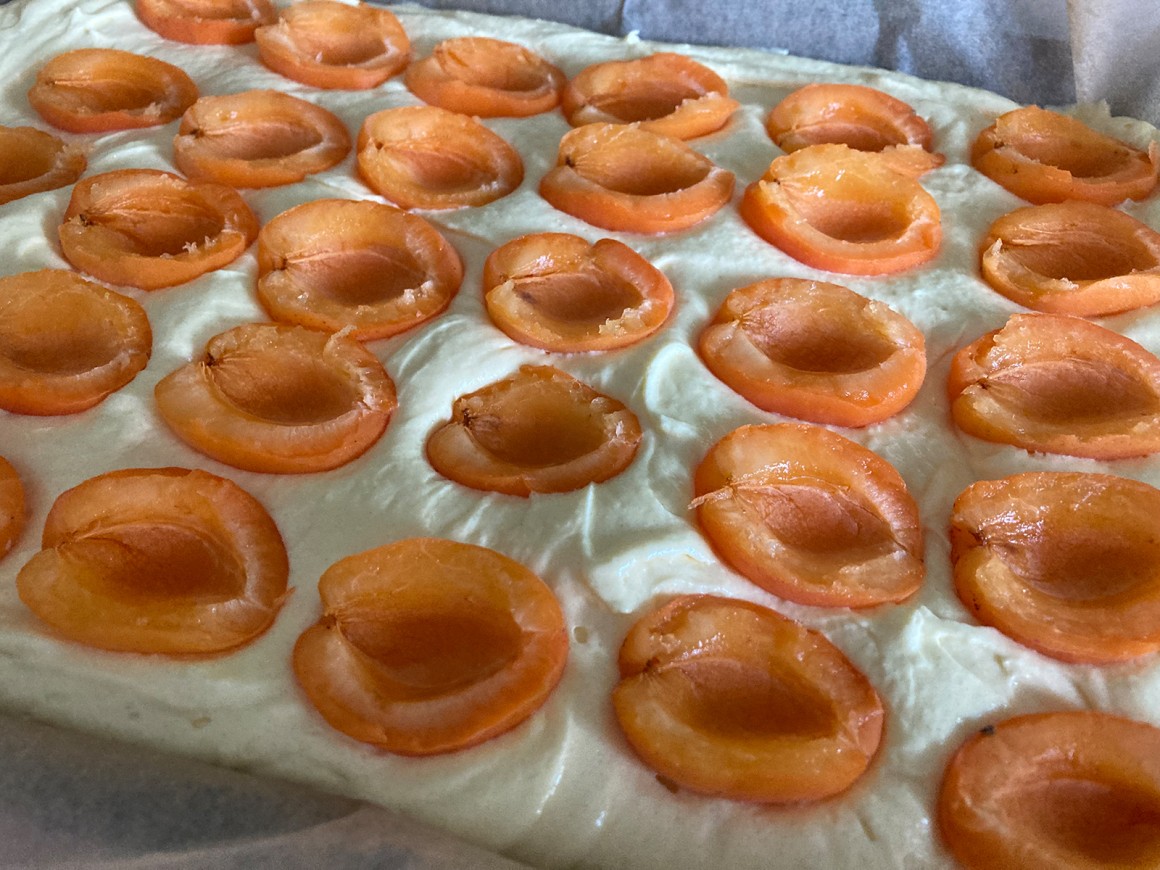 Omas Aprikosenkuchen