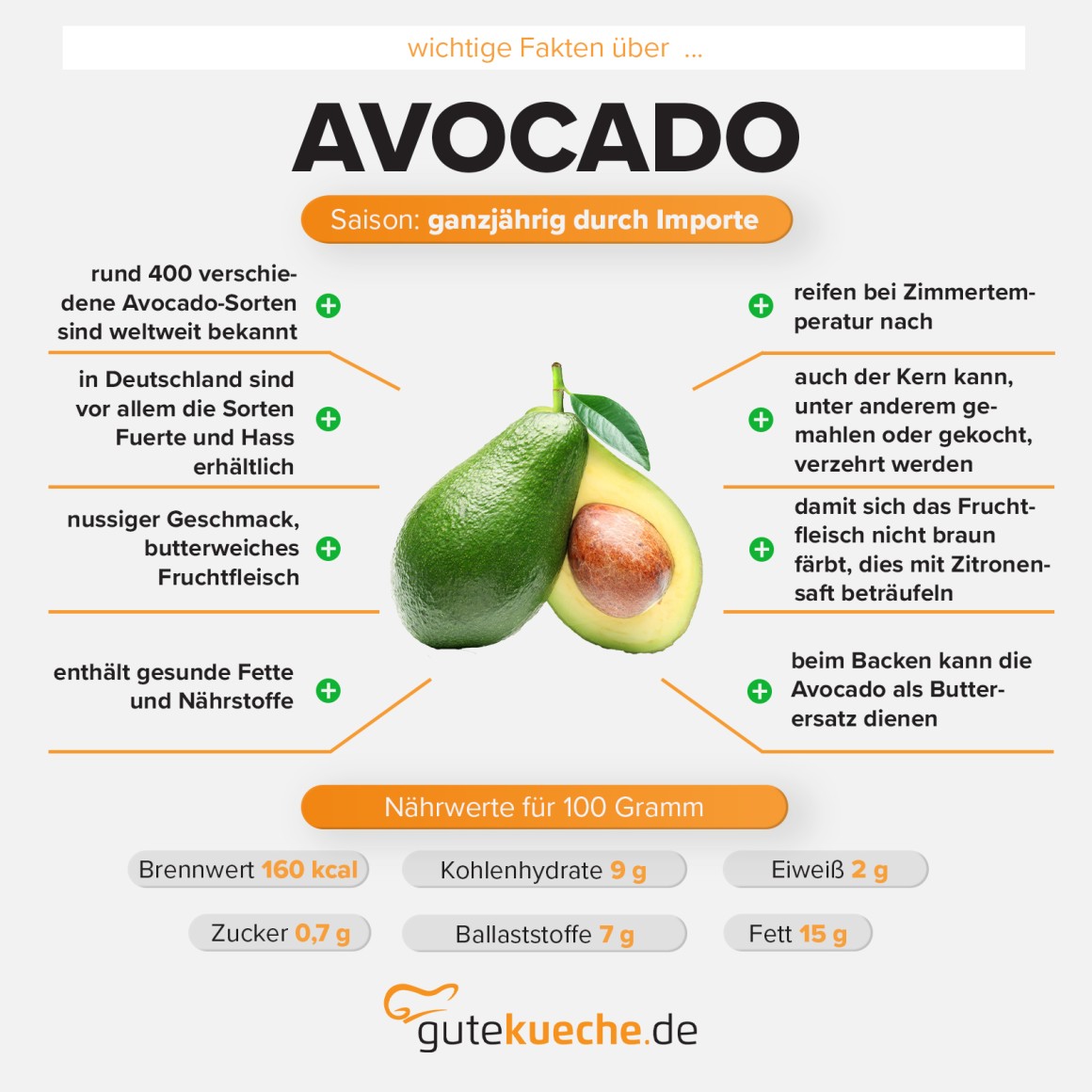 Avocado