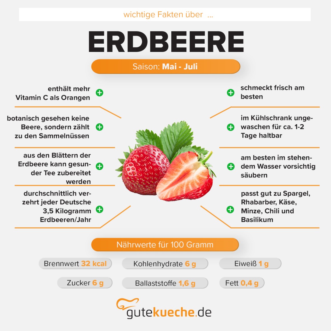 Erdbeere