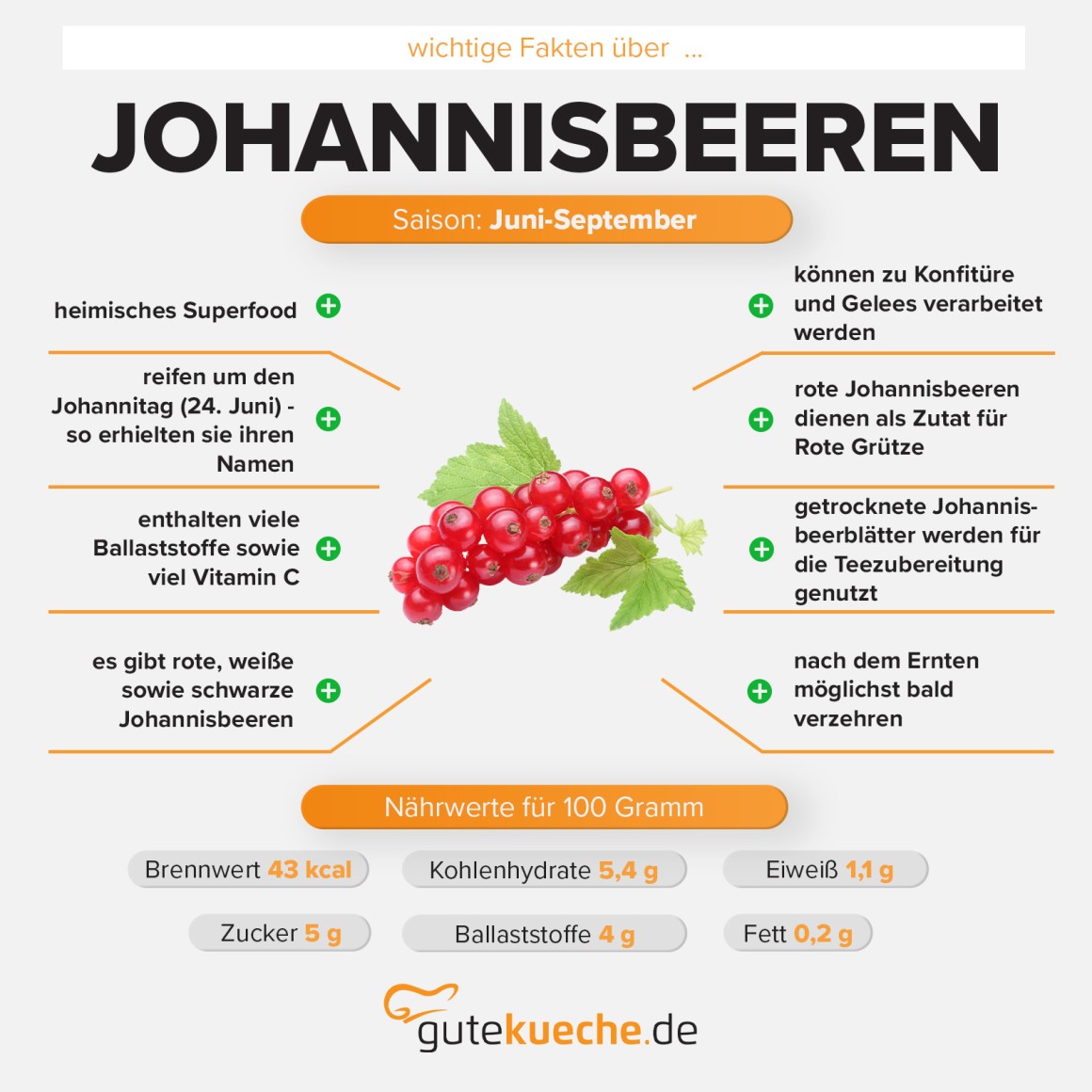 Johannisbeeren