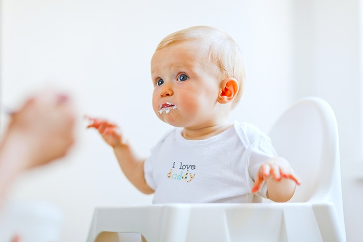 Baby Ernährung: 6.-9. Lebensmonat