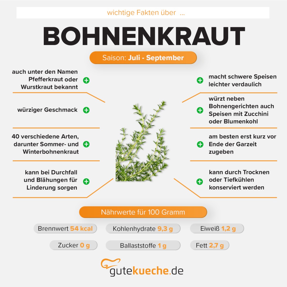 Bohnenkraut