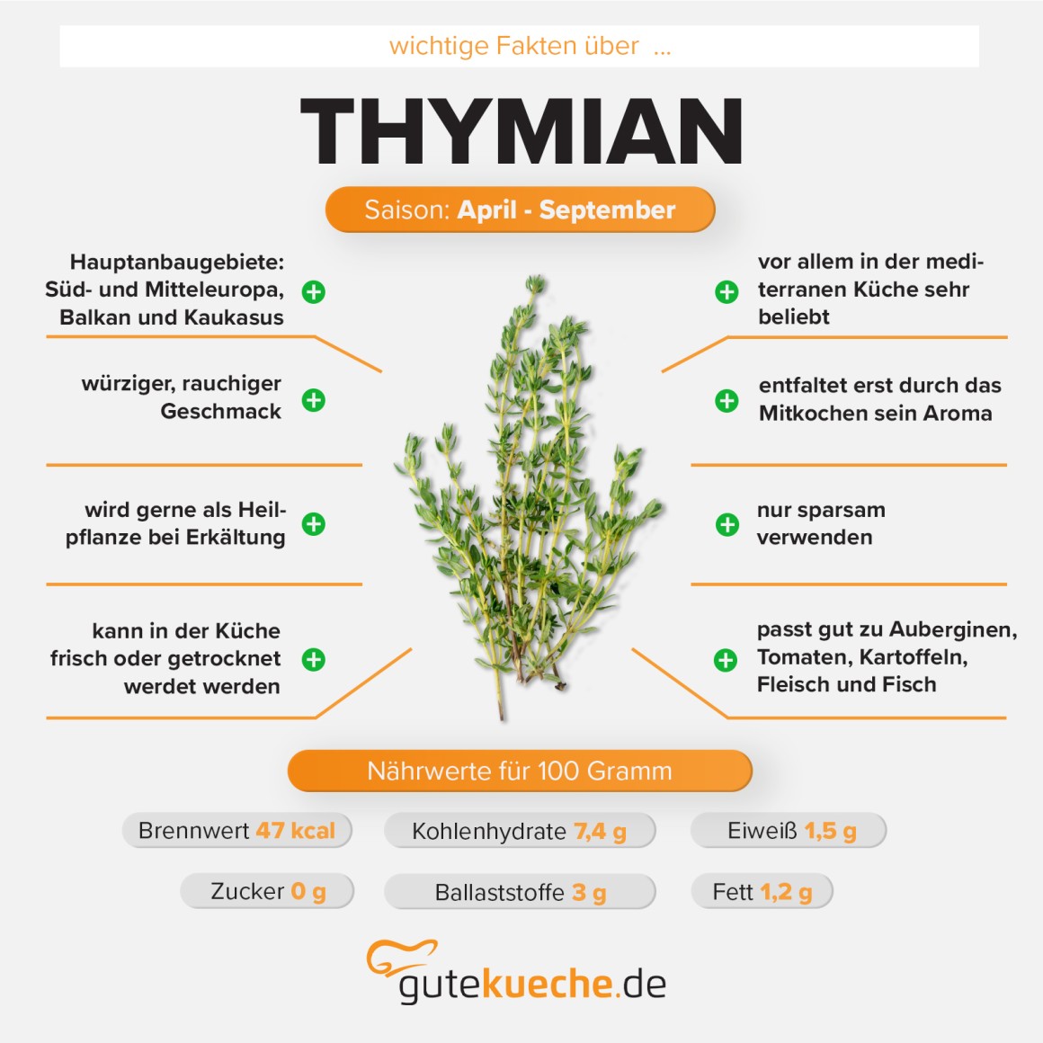 Thymian
