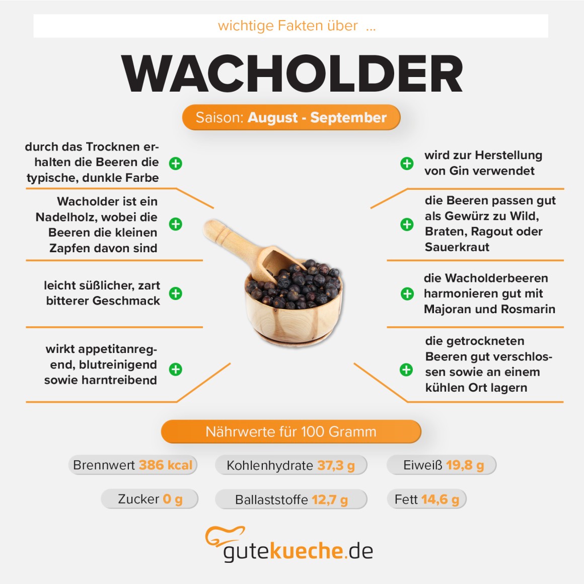 Wacholder
