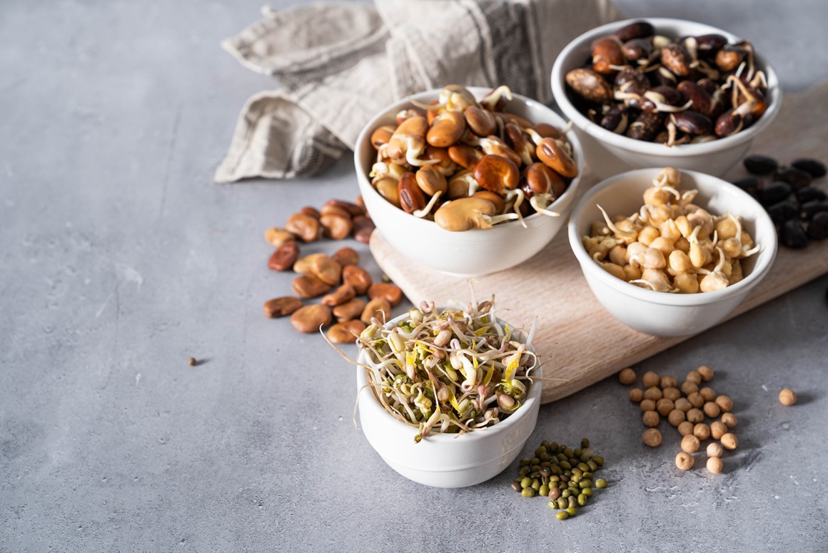 Sprossen - gesundes Powerfood