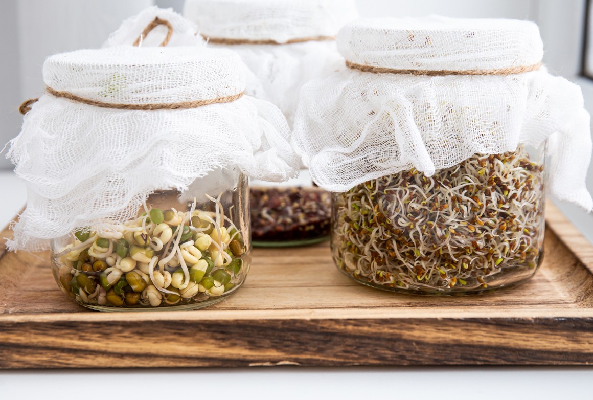 Sprossen - gesundes Powerfood
