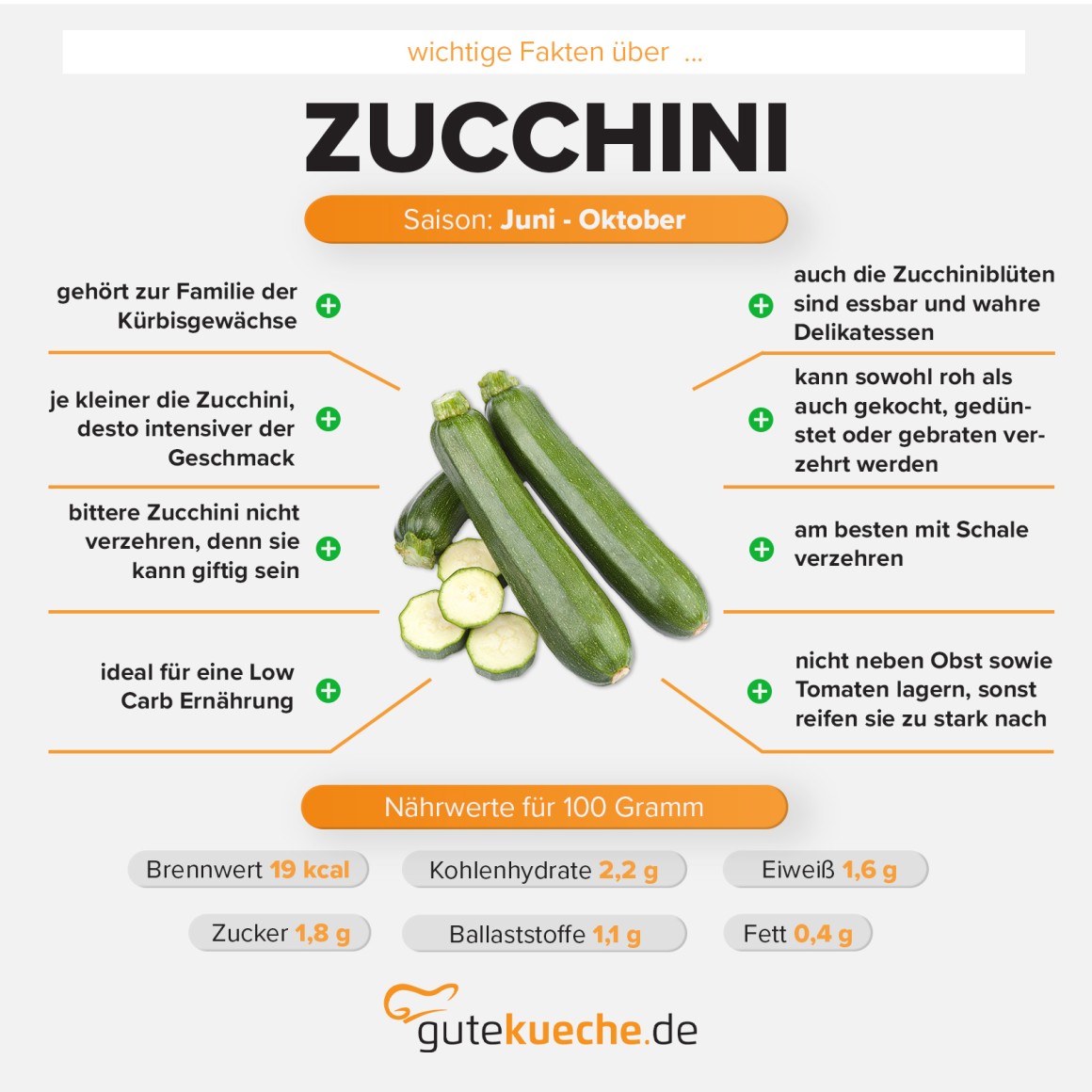 Zucchini