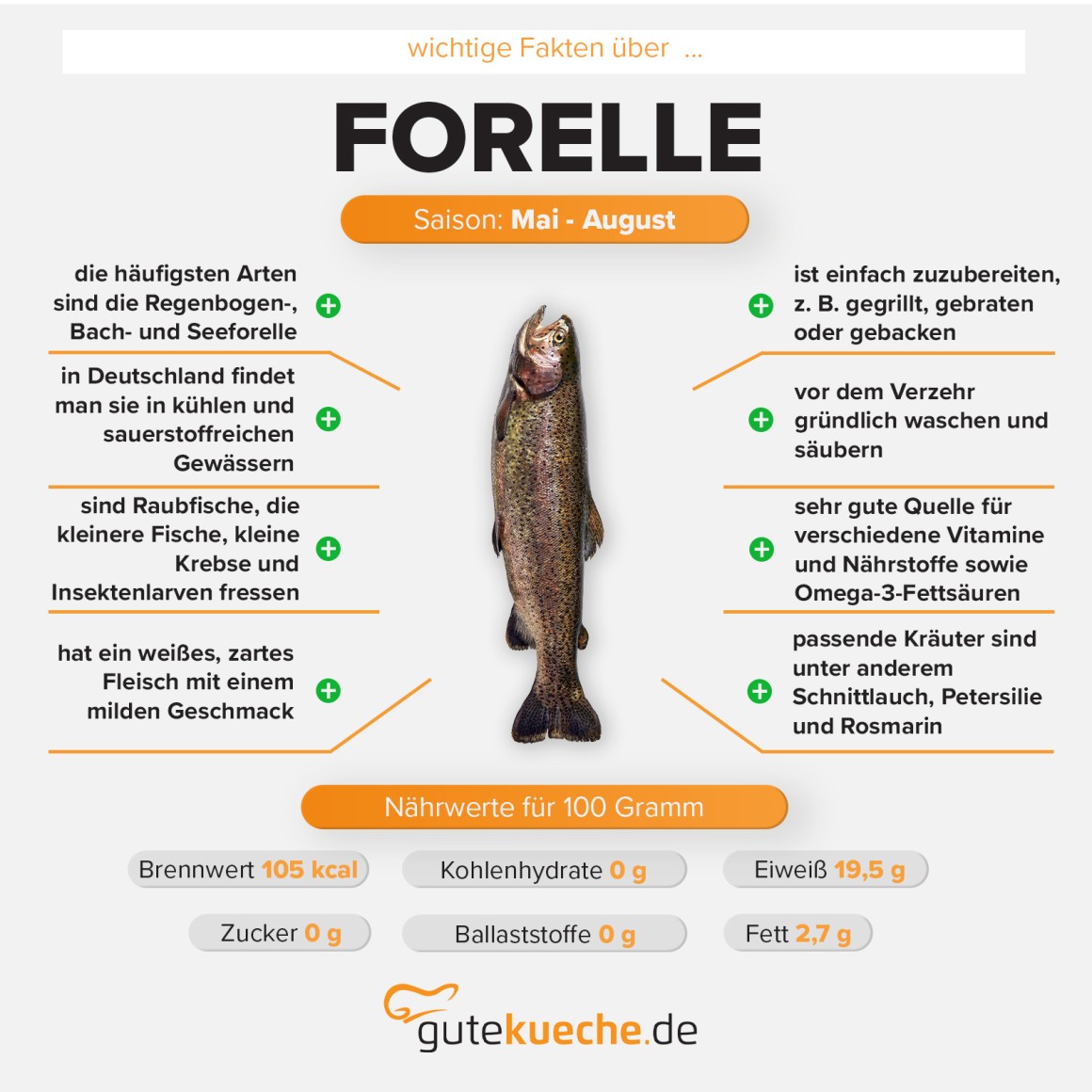 Forelle