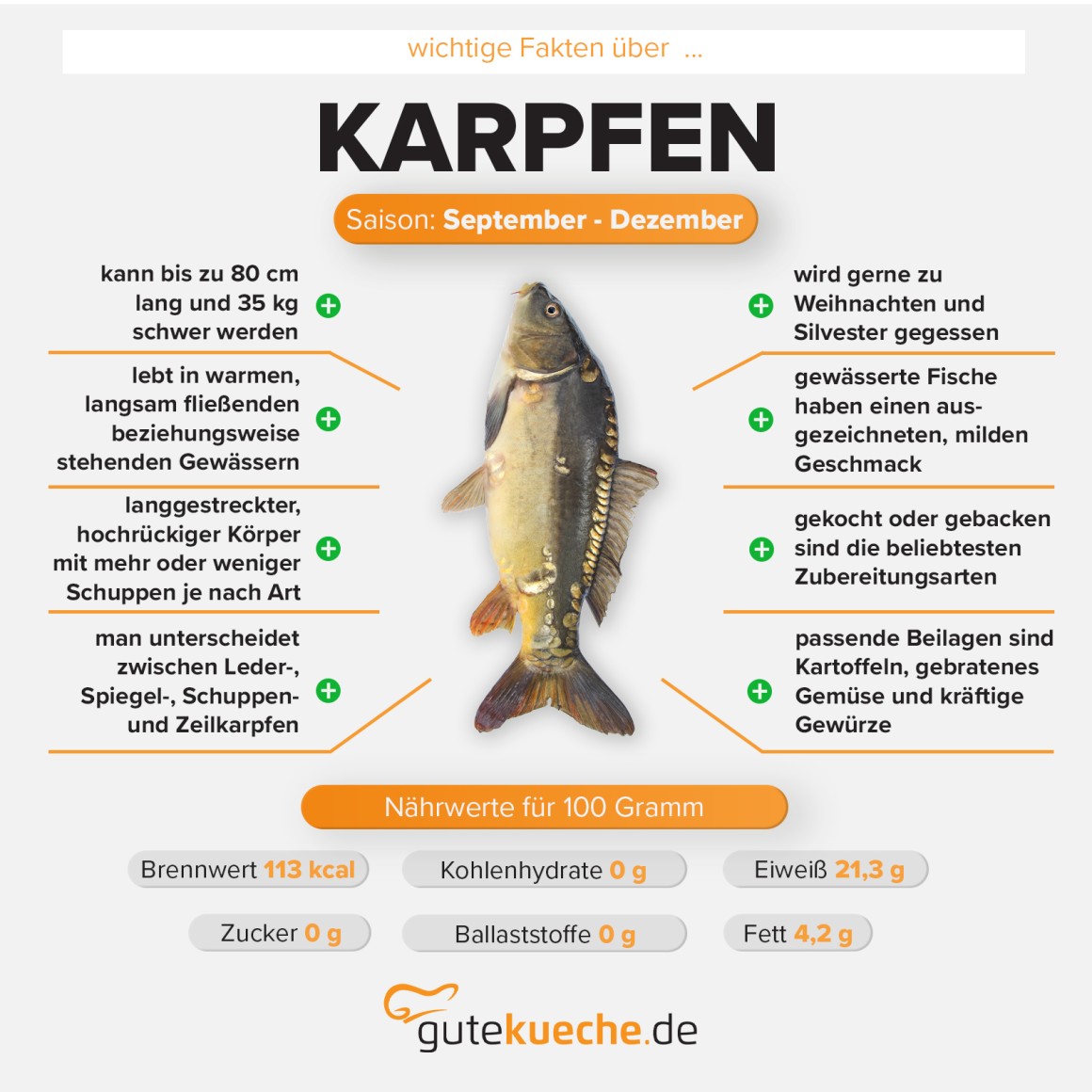 Karpfen