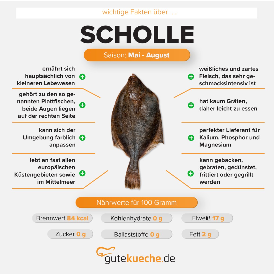 Scholle 