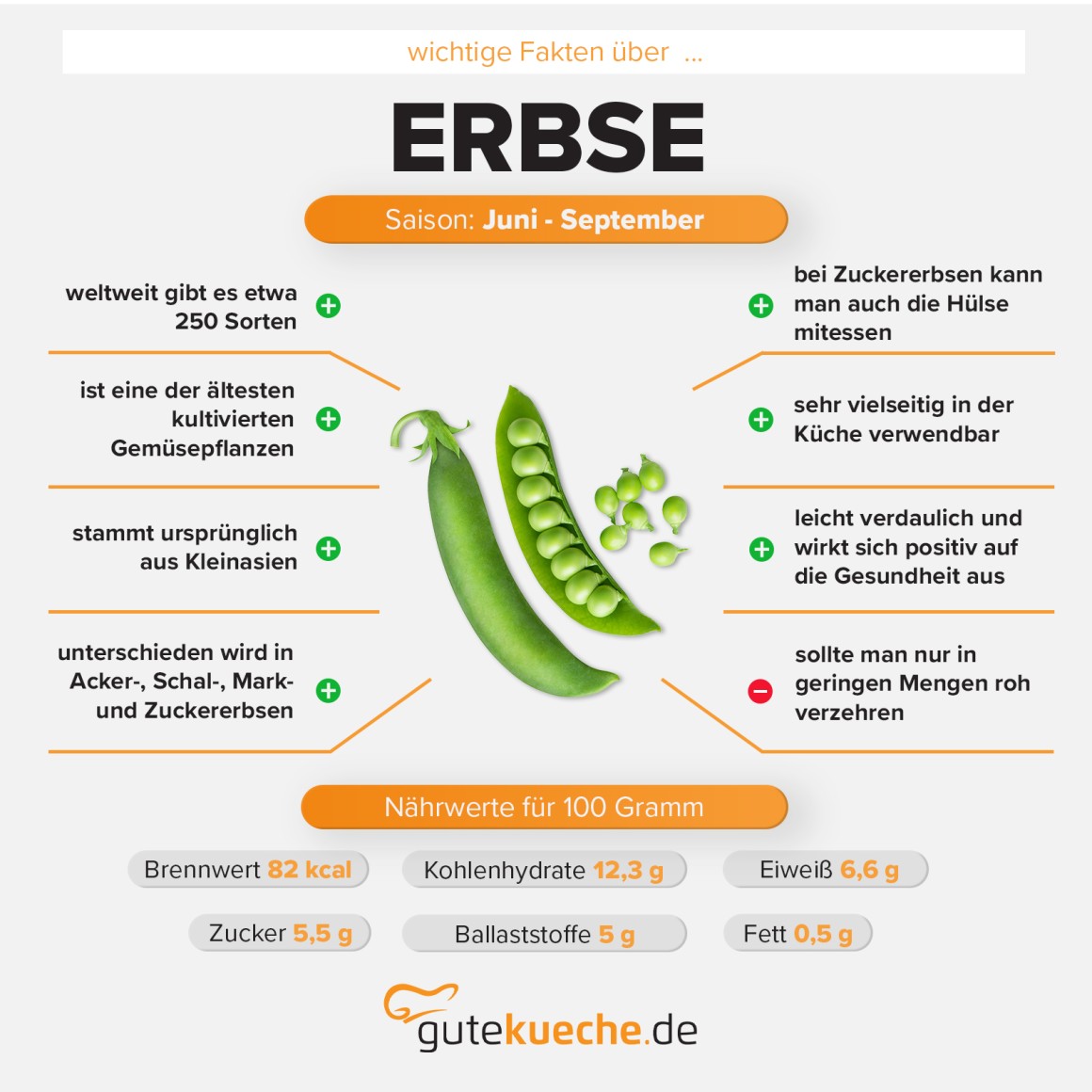 Erbse