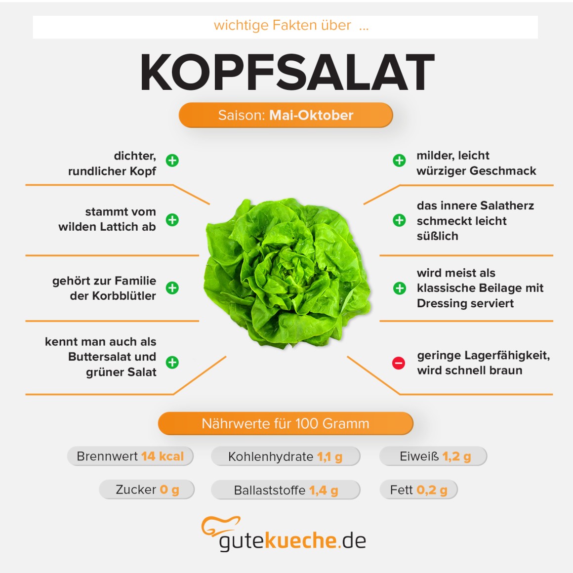 Kopfsalat