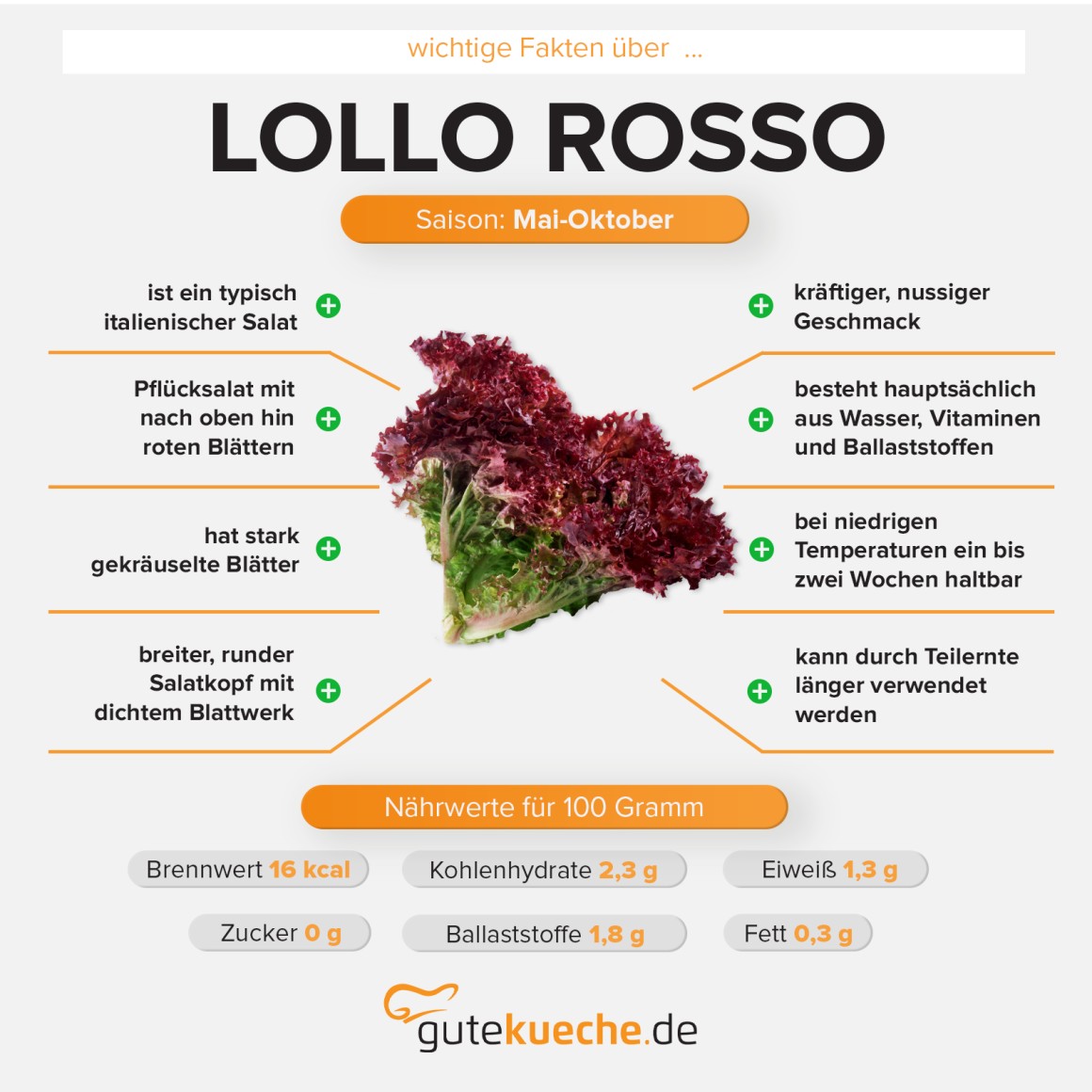 Lollo Rosso