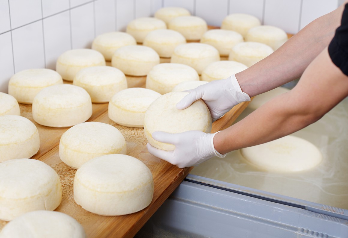 Herstellung von Käse