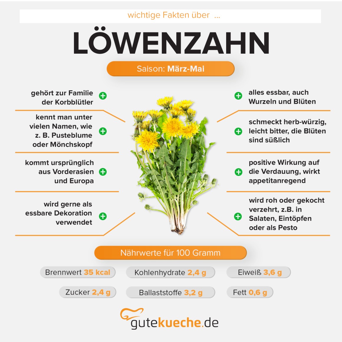 Löwenzahn